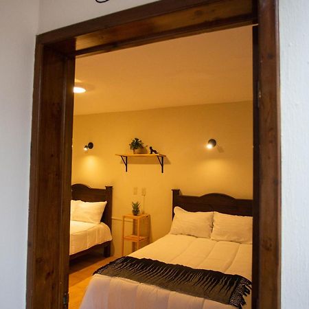 Casa Venus 호텔 San Cristóbal de Las Casas 외부 사진