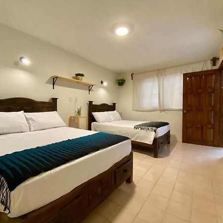 Casa Venus 호텔 San Cristóbal de Las Casas 외부 사진