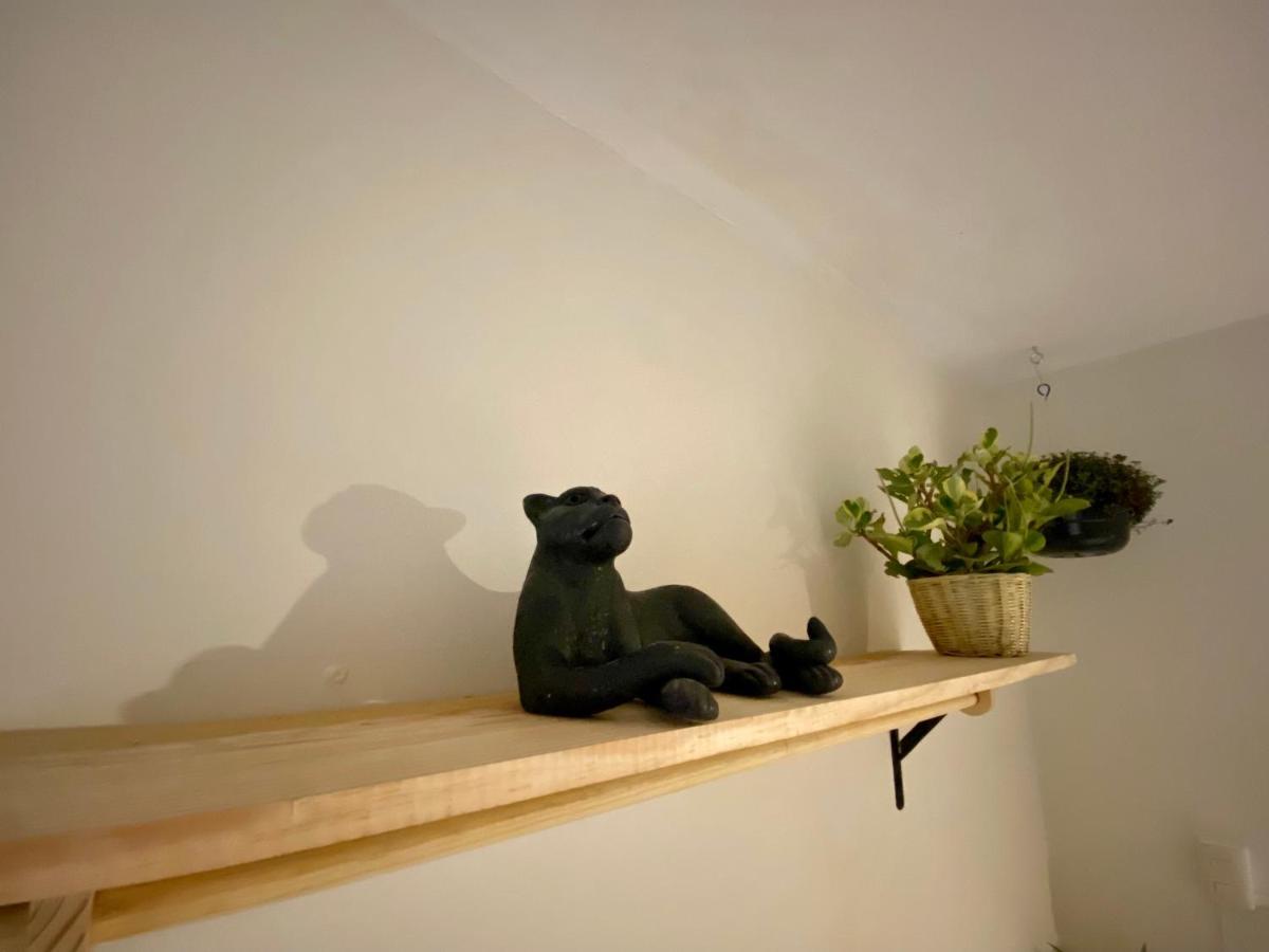 Casa Venus 호텔 San Cristóbal de Las Casas 외부 사진