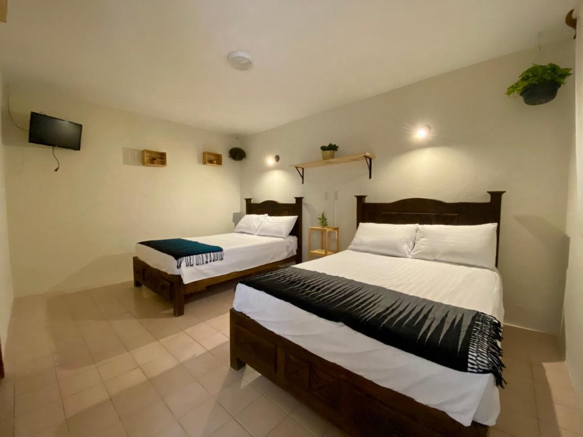 Casa Venus 호텔 San Cristóbal de Las Casas 외부 사진