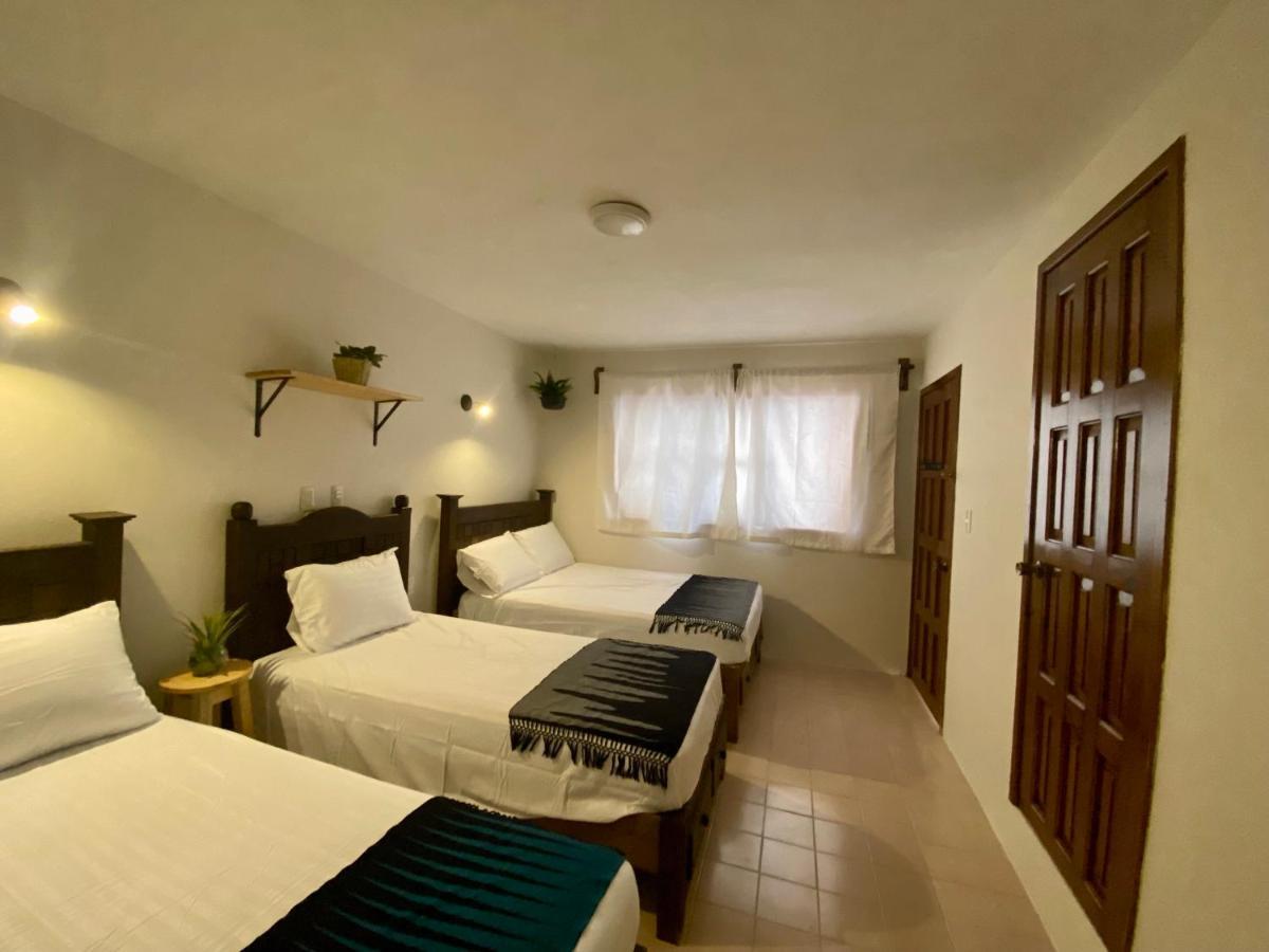 Casa Venus 호텔 San Cristóbal de Las Casas 외부 사진