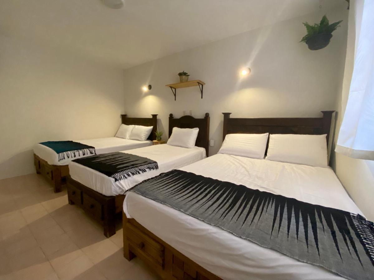 Casa Venus 호텔 San Cristóbal de Las Casas 외부 사진
