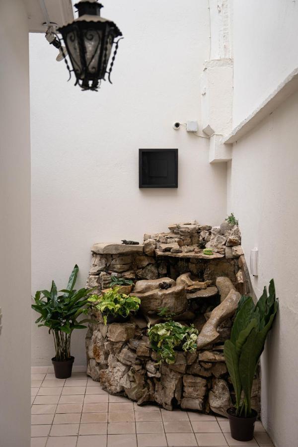 Casa Venus 호텔 San Cristóbal de Las Casas 외부 사진