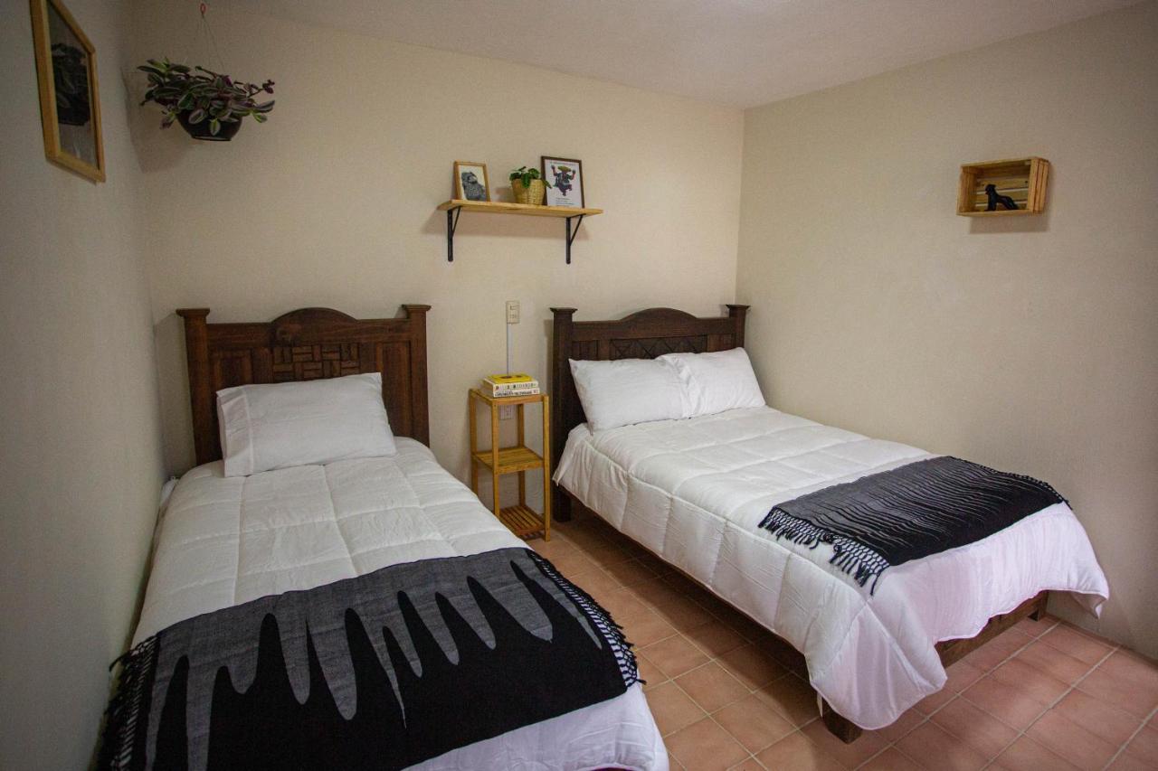 Casa Venus 호텔 San Cristóbal de Las Casas 외부 사진