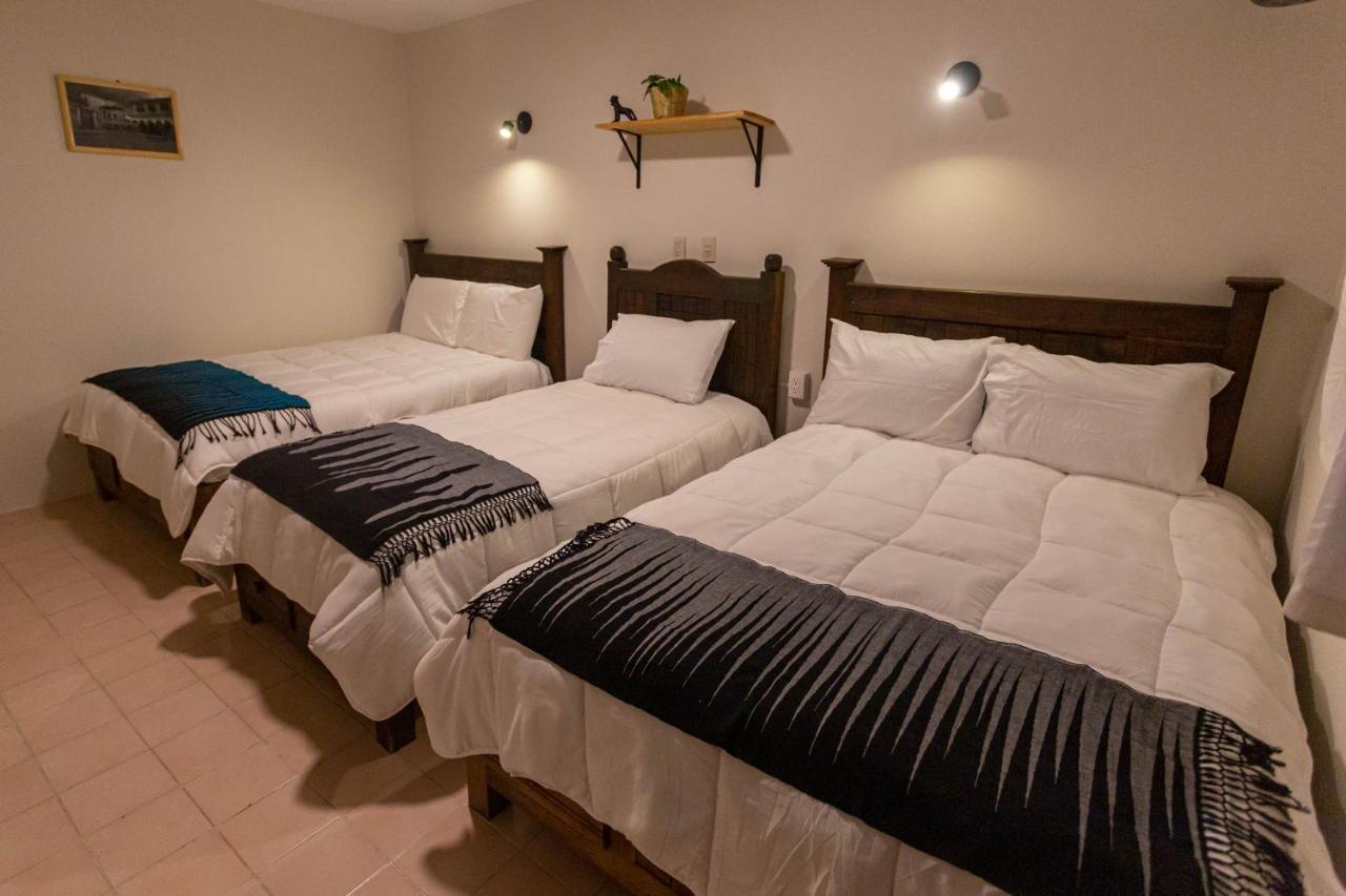 Casa Venus 호텔 San Cristóbal de Las Casas 외부 사진