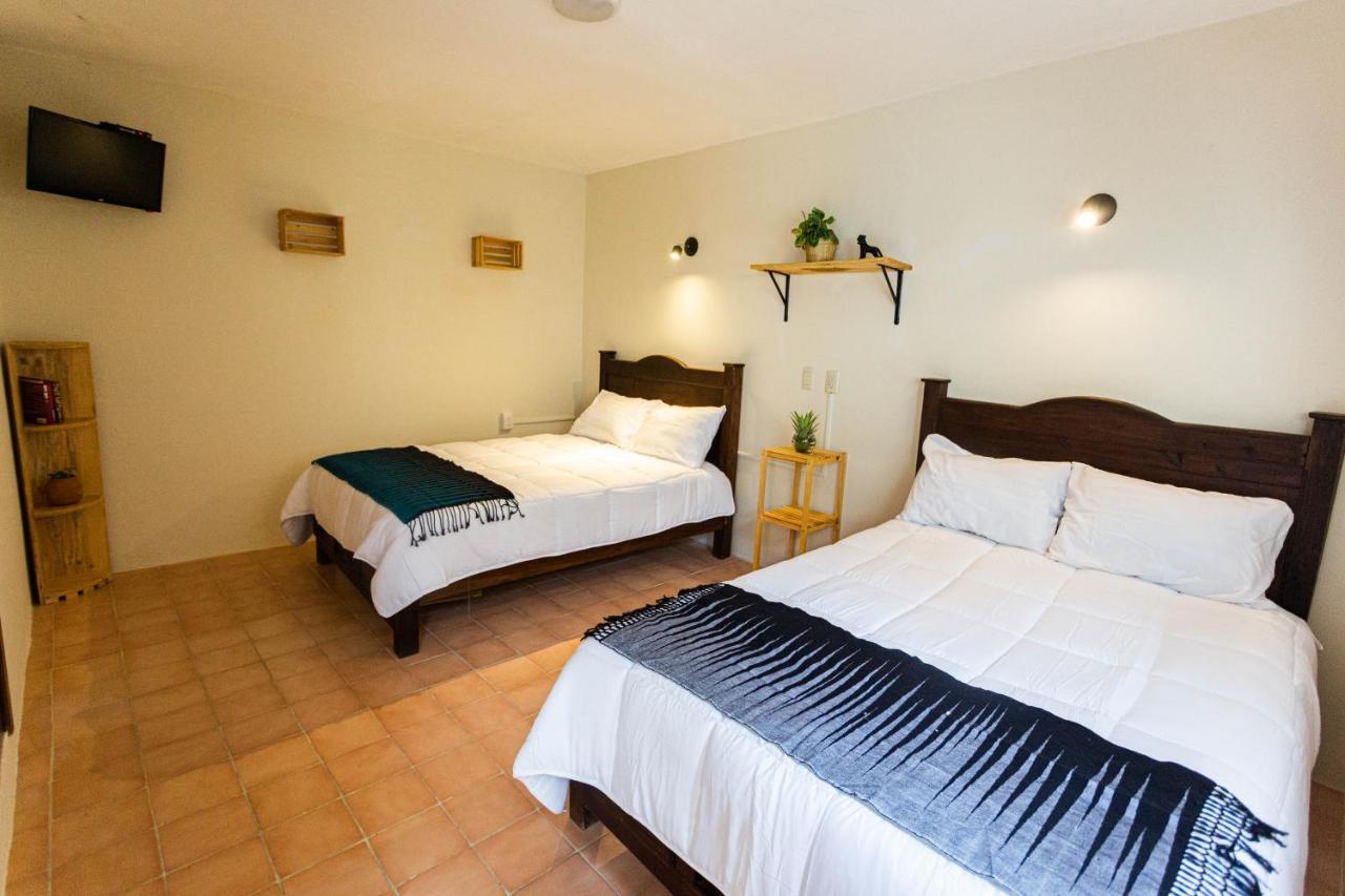 Casa Venus 호텔 San Cristóbal de Las Casas 외부 사진