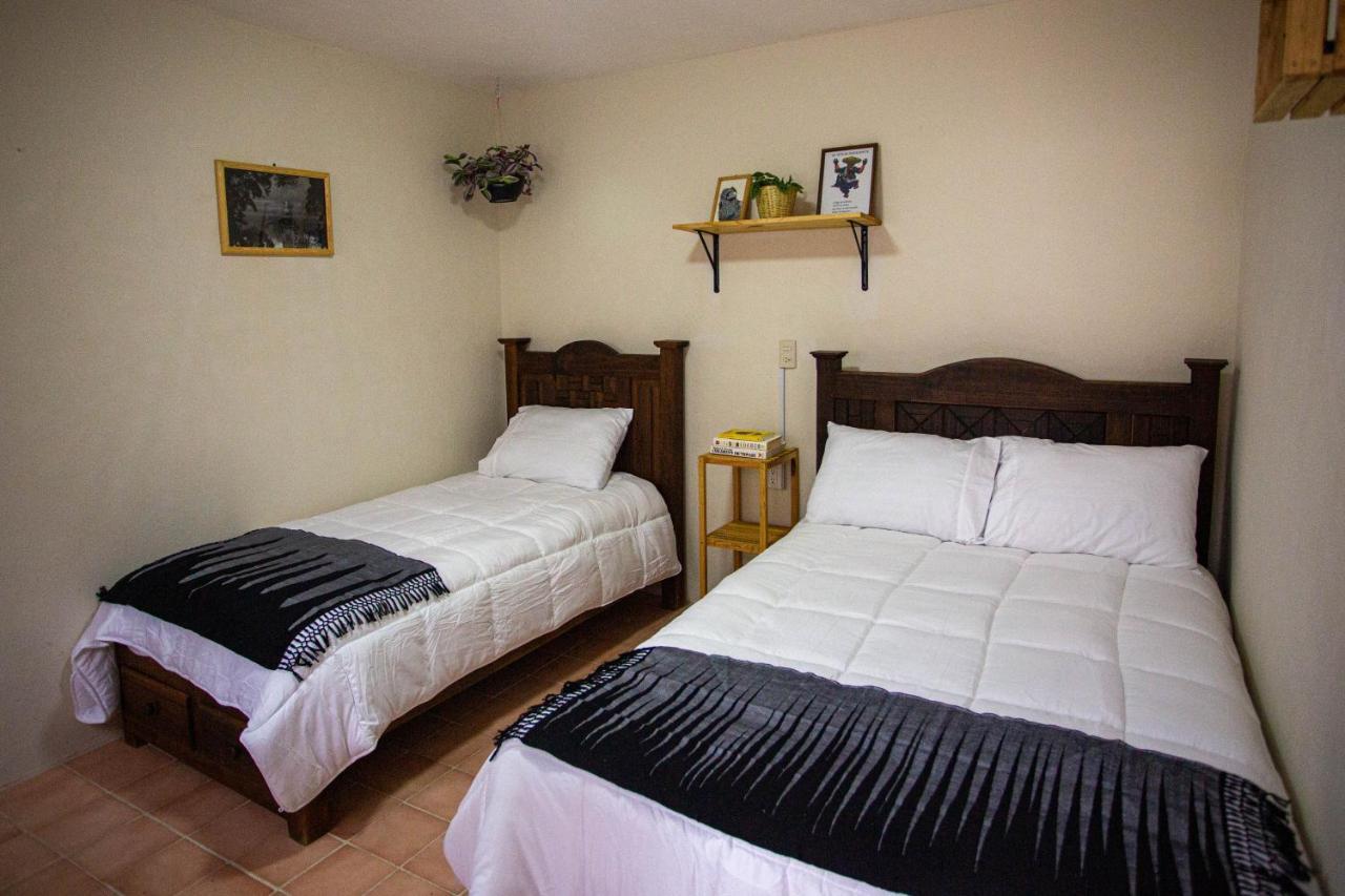 Casa Venus 호텔 San Cristóbal de Las Casas 외부 사진