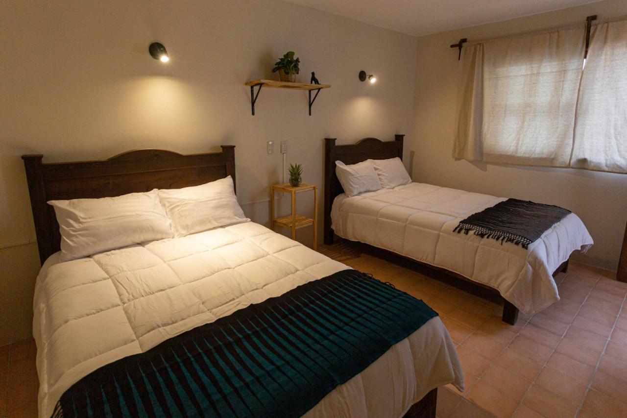 Casa Venus 호텔 San Cristóbal de Las Casas 외부 사진